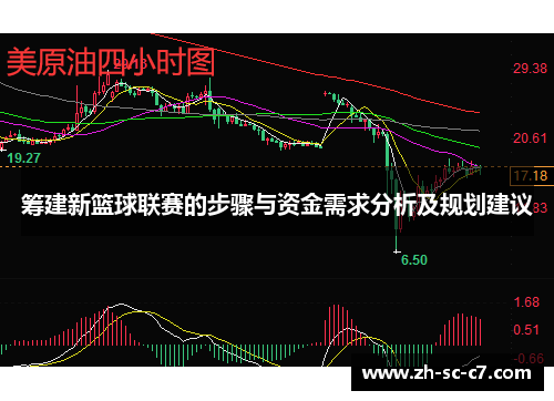 筹建新篮球联赛的步骤与资金需求分析及规划建议