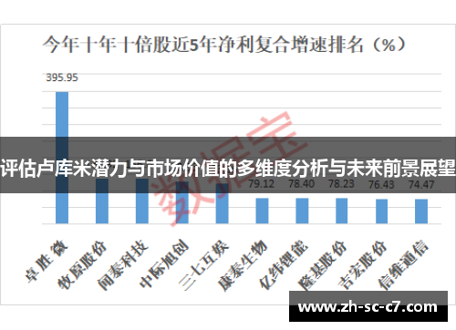 评估卢库米潜力与市场价值的多维度分析与未来前景展望
