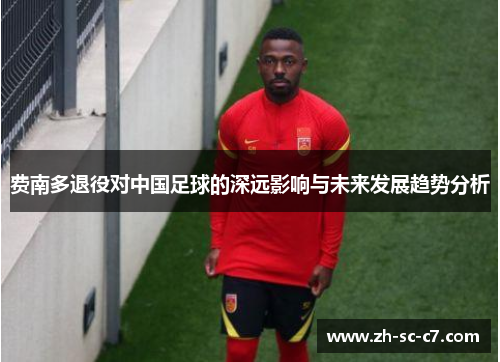 费南多退役对中国足球的深远影响与未来发展趋势分析