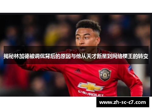 揭秘林加德被调侃背后的原因与他从天才新星到网络梗王的转变