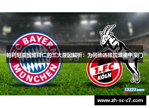 帕利尼亚加盟拜仁的三大原因解析：为何他选择加盟德甲豪门