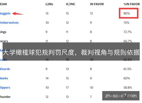 大学橄榄球犯规判罚尺度，裁判视角与规则依据