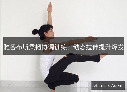 雅各布斯柔韧协调训练,动态拉伸提升爆发 雅各布斯柔韧协调训练,动态拉伸提升爆发
